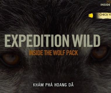 KH089 - Document - Inside The Wolf Pack (2.4G)